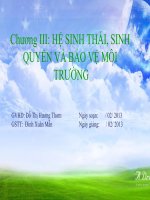 Giáo án bồi dưỡng tham khảo bài 42 Hệ sinh thái