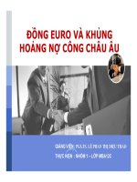 tiểu luận đồng euro và khủng hoảng nợ công châu âu