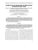 ẢNH HƯỞNG CỦA MẬT ĐỘ VÀ LƯỢNG ĐẠM BÓN ĐẾN SINH TRƯỞNG VÀ NĂNG SUẤT NGÔ TRÊN ĐẤT DỐC YÊN MINH - HÀ GIANG pot