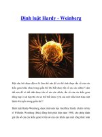 Định luật Hardy - Weinberg ppt