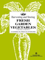 harvesting and storing fresh garden vegetables
