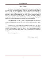 Phân tích hoạt động cho vay tiêu dùng tại Ngân Hàng Thương Mại Cổ Xuất Nhập Khẩu Việt Nam – Chi nhánh Chợ Lớn TP.HCM