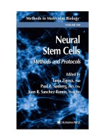neural stem cells. methods and protocols