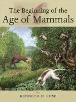 the begining of the age of mammals