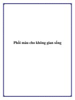Phối màu cho không gian sống docx