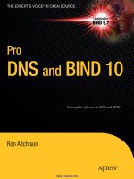 pro dns and bind 10