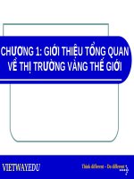 GIÁO TRÌNH ĐẦU TƯ VÀNG TRONG ĐẦU TƯ FOREX