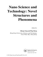 nano science and technology - novel structures and phenomena - ping sheng & zikang tang - crc press - 2003