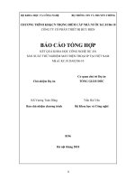 Đề tài : Sản xuất thử nghiệm máy điện thoại IP tại  việt nam