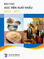 báo cáo xúc tiến xuất khẩu - báo cáo về tình hình xuất khẩu cũng như thực trạng và giải pháp cần thiết cho hoạt động xuất khẩu