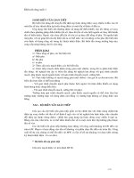 Điện tử công suất Bộ biến tần