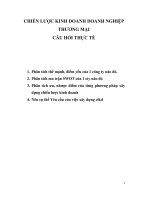 Câu hỏi thực tế và hướng dẫn trả lời môn chiến lược kinh doanh doanh nghiệp thương mại