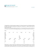 Những ngọn nến lung linh ppt