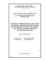 Xây dựng quy trình điều chế vật liệu polyme xốp (spatial globular structure polyme) SGS NT8 dùng để xử lý nước thải, bước đầu tách thử UO