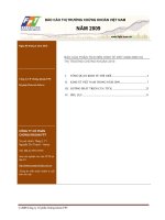 BÁO CÁO THỊ TRƯỜNG CHỨNG KHOÁN (CÔNG TY FPT)