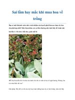 Sai lầm hay mắc khi mua hoa về trồng doc