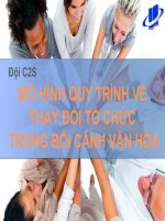 Thuyết trình mô hình quy trình về thay đổi tổ chức trong bối cảnh văn hóa