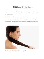 Bài thuốc trị tóc bạc pptx