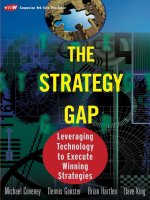 The Strategy Gap (2003)