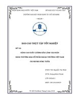 NÂNG CAO CHẤT LƯỢNG BẢO LÃNH TẠI NGÂN HÀNG THƯƠNG MẠI CỔ PHẦN NGOẠI THƯƠNG VIỆT NAM CHI NHÁNH SÓNG THẦN