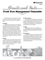 fruit tree management timetable