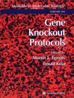 gene knockout protocols