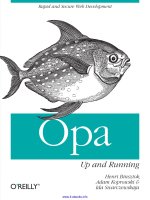 opa up and running