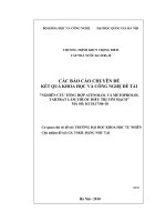 Nghiên cứu tổng hợp atenolol và metoprolol tartrat làm thuốc điều trị tim mạch
