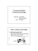 Transparent switch và source route bridge, đặc điểm và khả năng kết nốI