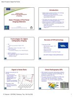 basic principles of flat panel