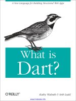 what is dart
