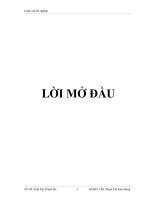 hoàn thiện chiến lược kinh doanh của công ty trách nhiệm hữu hạn thương mại – xây dựng đông quang