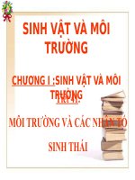 Giáo án sinh học 9 Môi trường và các nhân tố sinh thái
