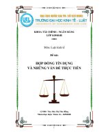 tiểu luận hợp đồng tín dụng và những vấn đề thực tiễn