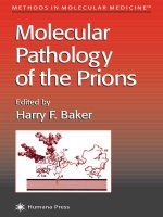 molecular pathology of the prions