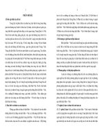 Đặc điểm đối dịch tiếng Hán và tiếng Việt hiện đại