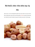 Bài thuốc chữa viêm niêm mạc dạ dày pdf