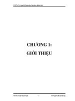 Sản phẩm trà xanh bổ sung tảo SPIRULINA đóng chai.