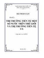 THỊ TRƯỜNG TIẾN TỆ MỘT SỐ NƯỚC TRÊN THẾ GIỚI VÀ THỊ TRƯỜNG TIỀN TỆ VIỆT NAM