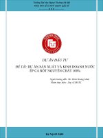 DỰ ÁN SẢN XUẤT VÀ KINH DOANH NƯỚC  ÉP CÀ RỐT NGUYÊN CHẤT 100%