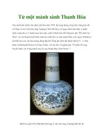 Từ một mảnh sành Thanh Hóa pot