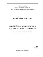 Nghiên cứu ứng dụng enzym trong chế biến tiêu sọ tại các làng nghề