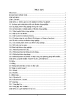 Tính toán và mô phỏng đồ họa động của robot MMR bằng visual c++