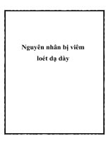 Nguyên nhân bị viêm loét dạ dày pptx