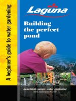 building the perfect pond