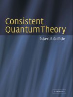 consistent quantum theory