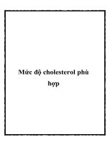 Mức độ cholesterol phù hợp docx