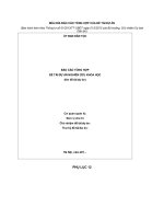 MẪU BÌA BÁO CÁO TỔNG HỢP CỦA ĐỀ TÀI/DỰ ÁN doc