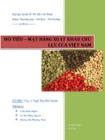 tiểu luận hồ tiêu – mặt hàng xuất khẩu chủ lực của việt nam
