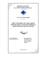 phân tích hoạt động kinh doanh tại doanh nghiệp tư nhân thương mại lê nguyễn